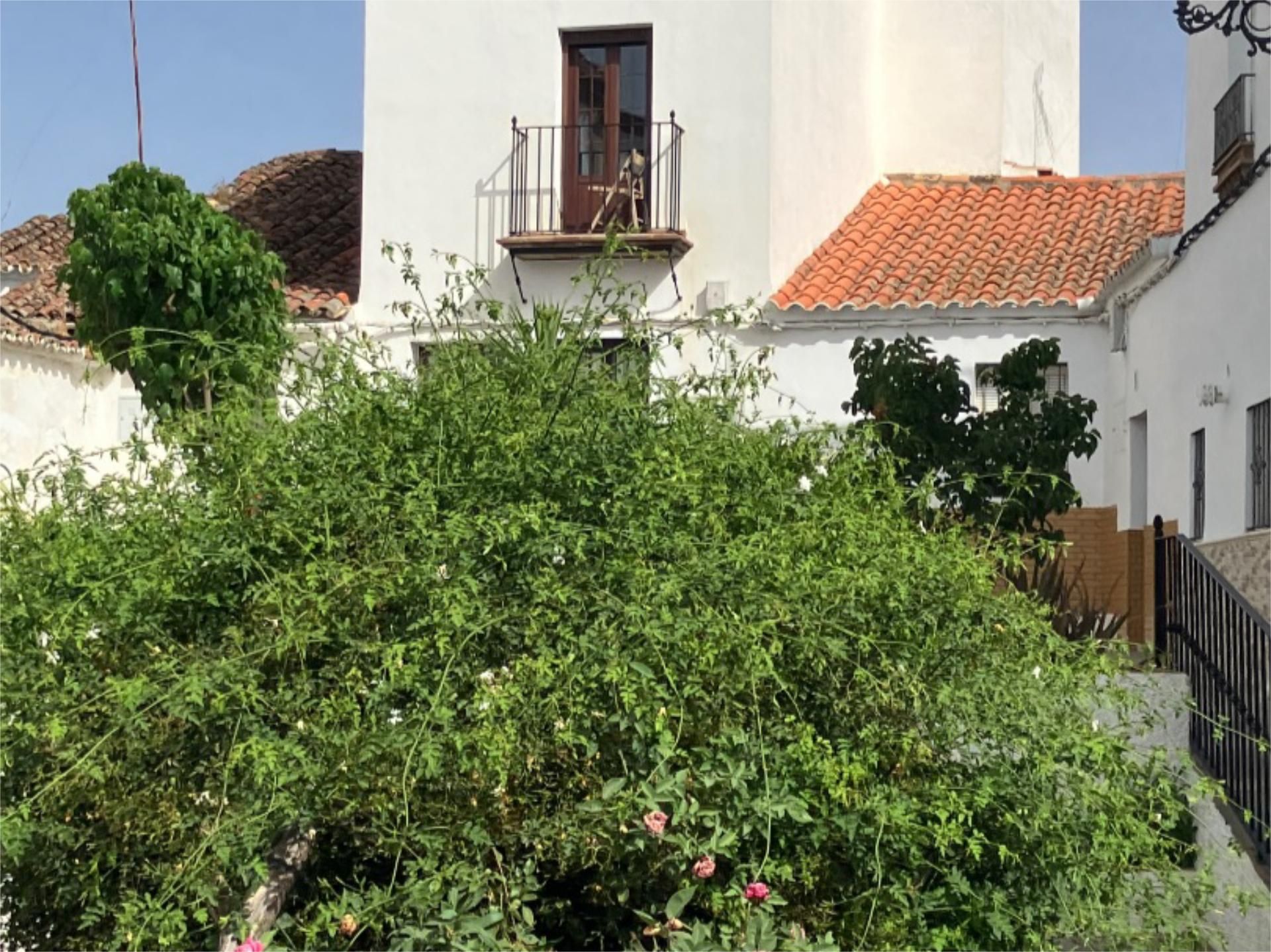 Garden of Planta baja for sale in El Pedroso  with Heating, Terrace and Balcony