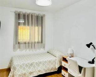 Flat to share in El Tejar - Hacienda Bizcochero