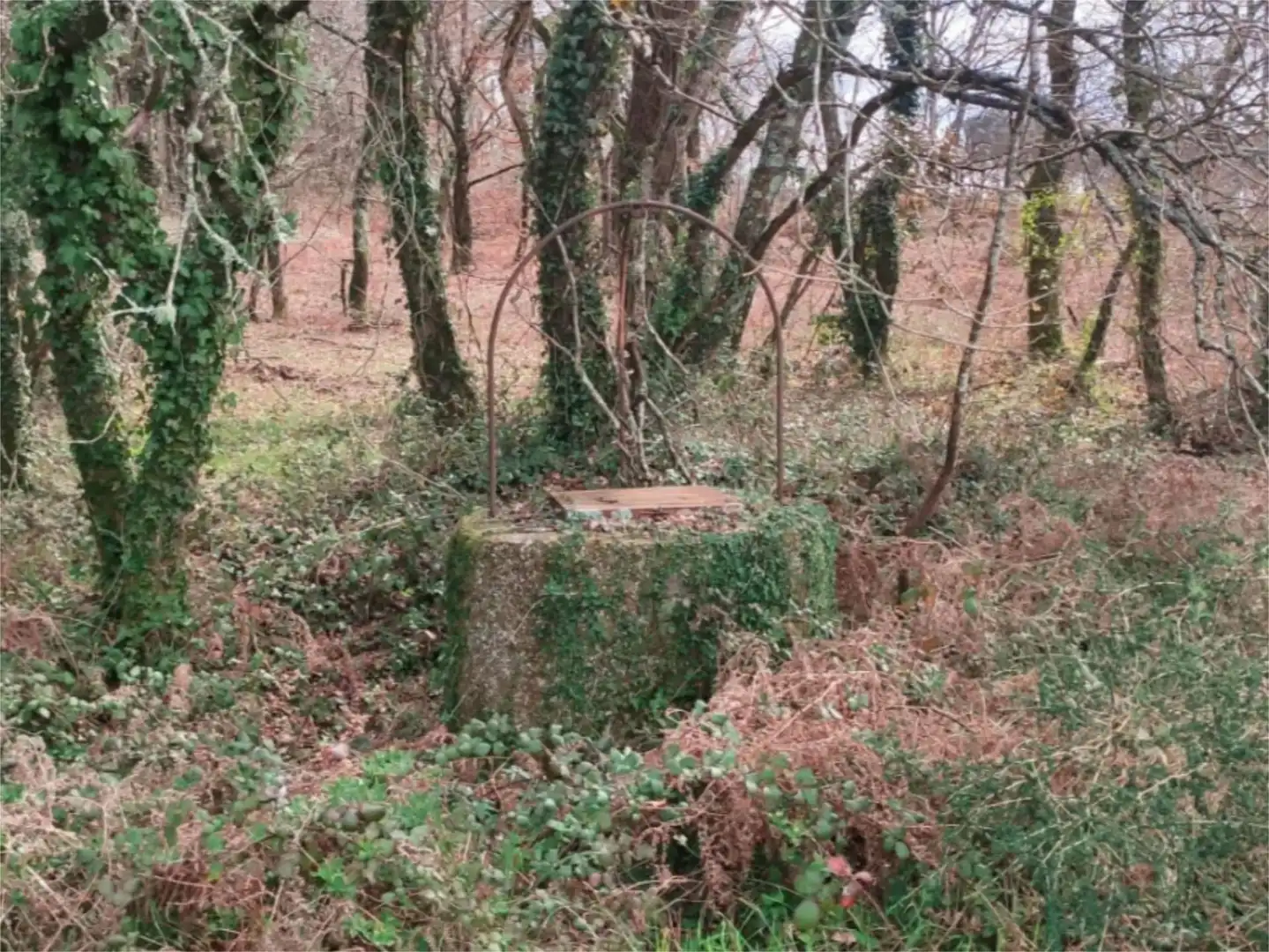 Constructible Land for sale in Oroso