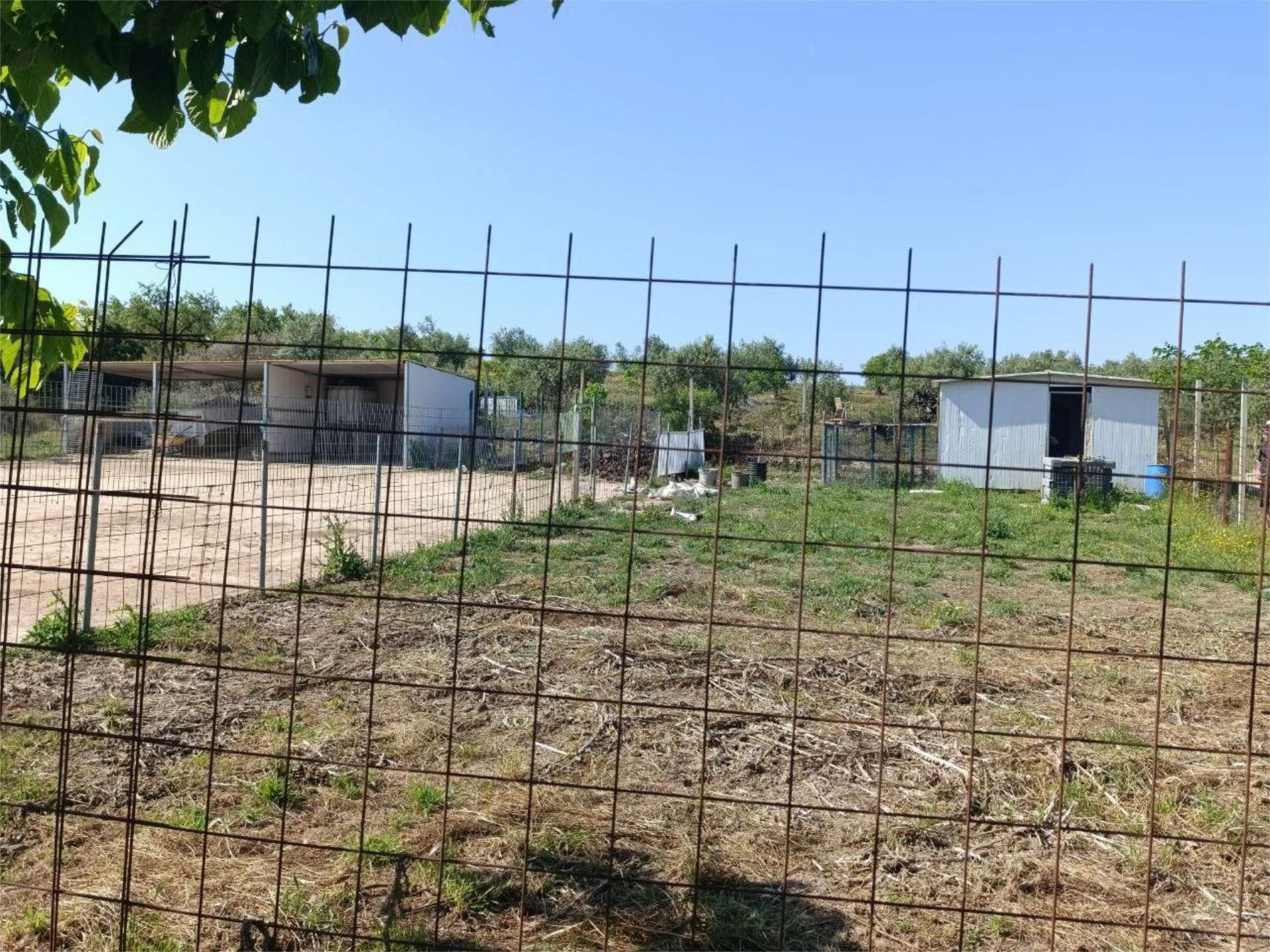 Non-constructible Land for sale in Les Borges Blanques