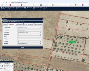 Non-constructible Land for sale in Valdefuentes