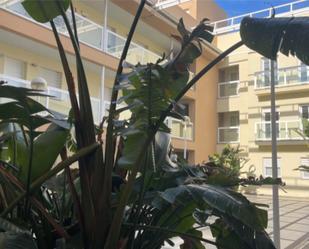 Flat to rent in Avenida Doctor Fleming, 49, Écija