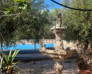 Jardí de Casa o xalet en venda en Alhama de Almería amb Calefacció, Jardí privat i Terrassa