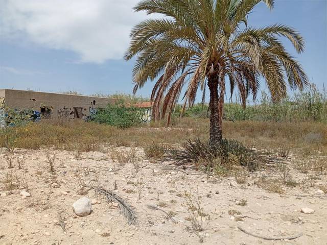 Terreno no urbanizable en Venta en Sector E25, 1 en Nou Altabix