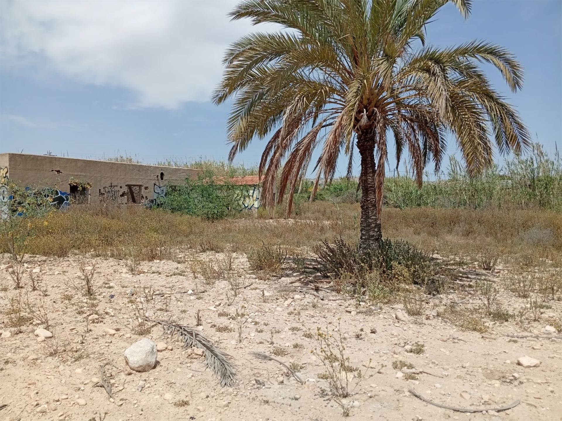 No Urbanitzable en venda en Elche / Elx