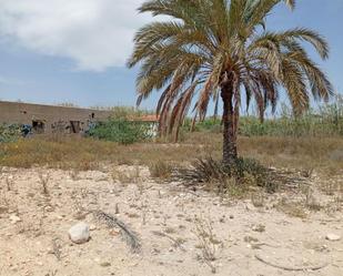 No Urbanitzable en venda en Elche / Elx
