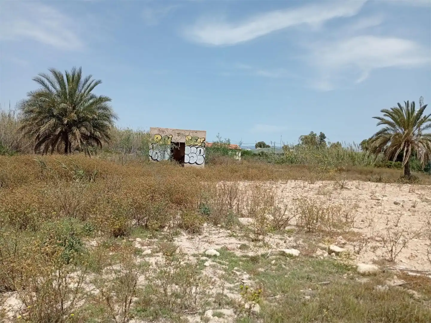Nicht bebaubares Gelände zum Verkauf in Sector E25, 1, Nou Altabix Nicht bebaubares Gelände zum Verkauf in Elche / Elx