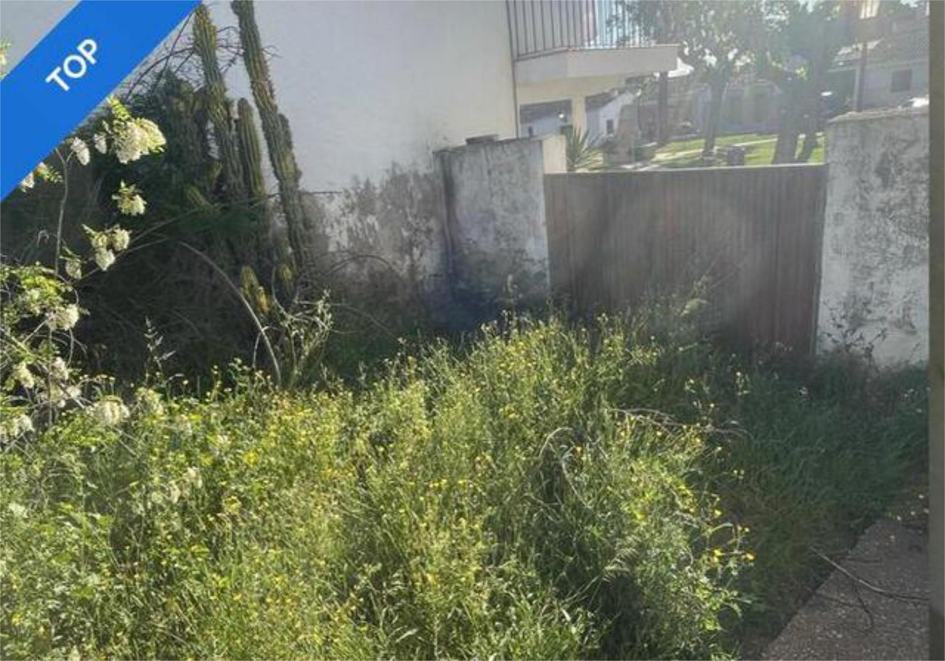 House or chalet for sale in Tous