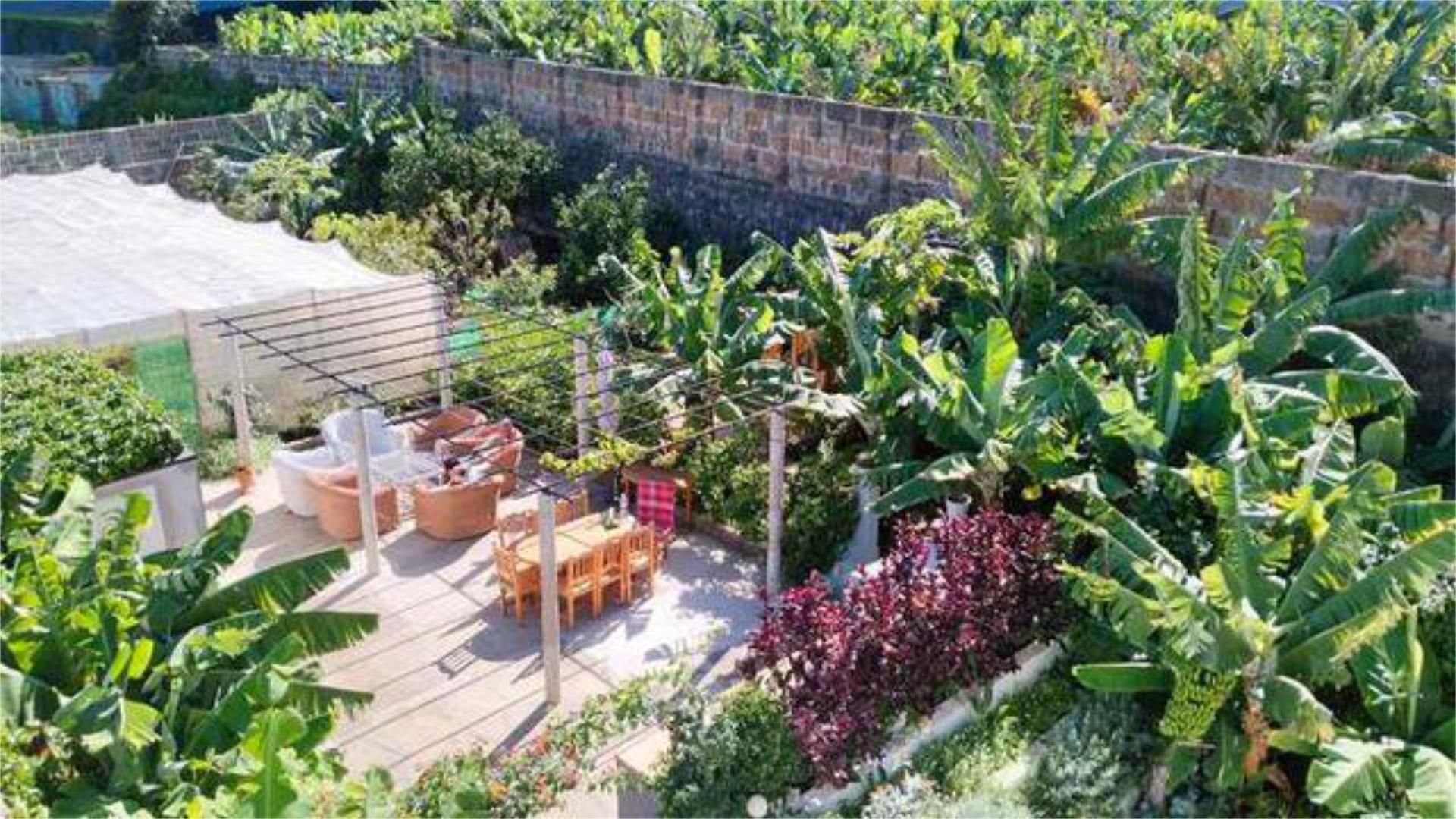 Terrassa de Casa o xalet en venda en Garachico amb Terrassa
