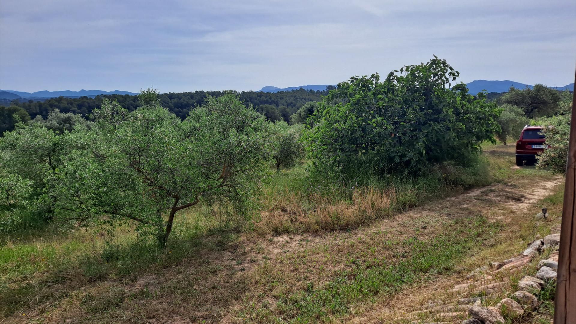 Country house for sale in Tivissa