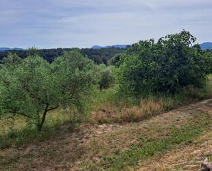 Finca rústica en venda en Tivissa