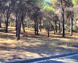 Residential for sale in San Miguel del Pino