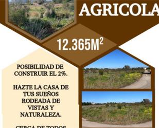 Constructible Land for sale in Dénia