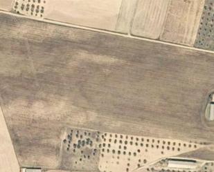 Land for sale in Burujón