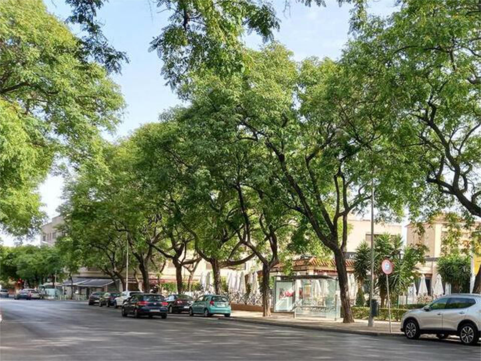 Exterior view of Garage to rent in Jerez de la Frontera