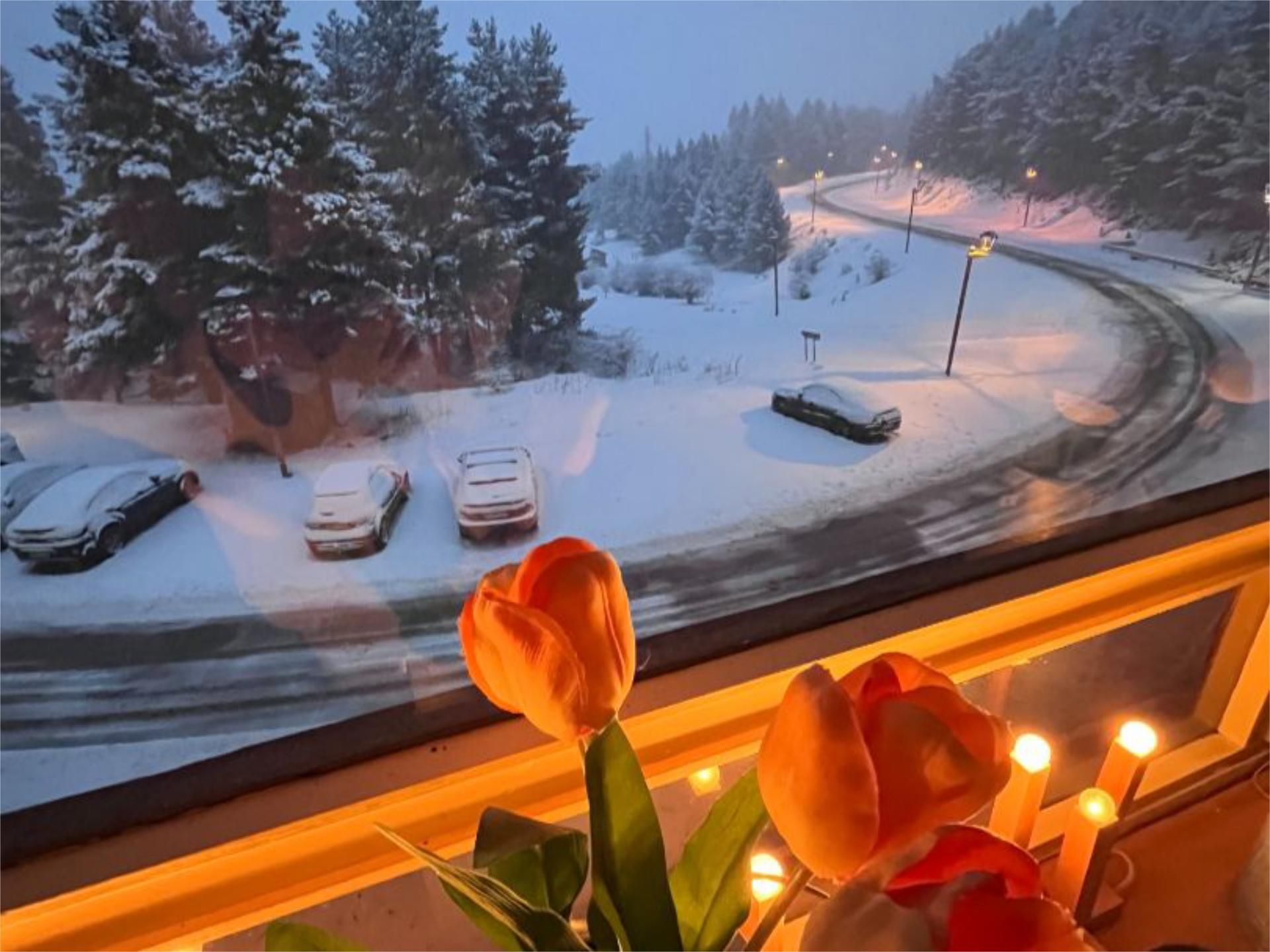 Flat to rent in Avinguda Peu Pista P-3, 7, La Molina