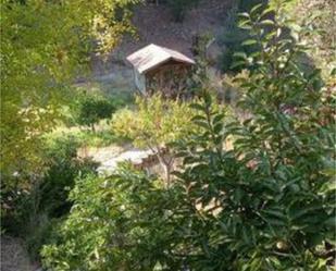 Jardí de Casa adosada en venda en  Córdoba Capital amb Calefacció, Jardí privat i Terrassa