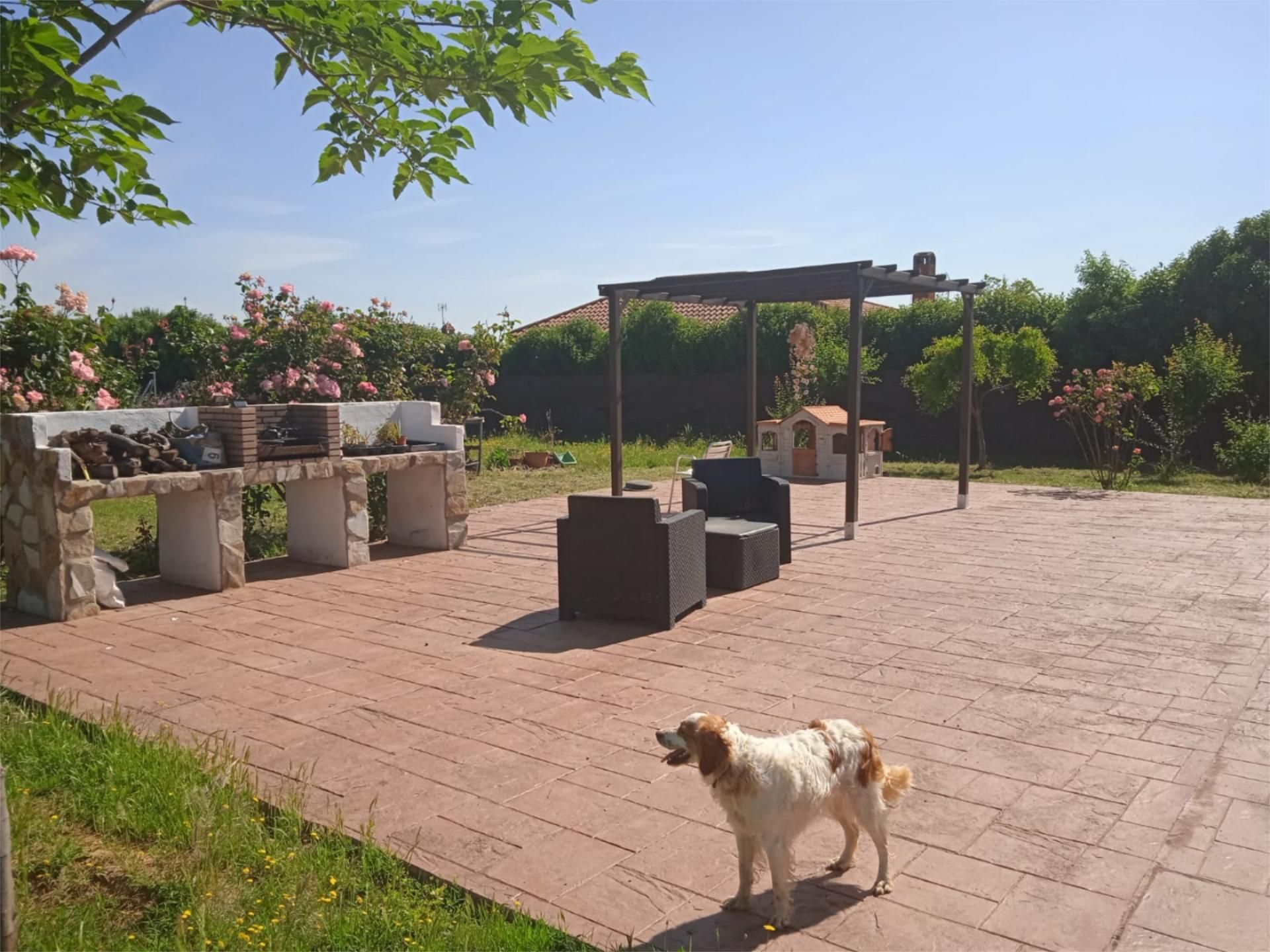 Garden of Flat for sale in Badajoz Capital