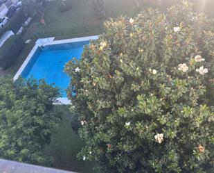 Swimming pool of Flat to share in Marbella  with Air Conditioner, Heating and Private garden