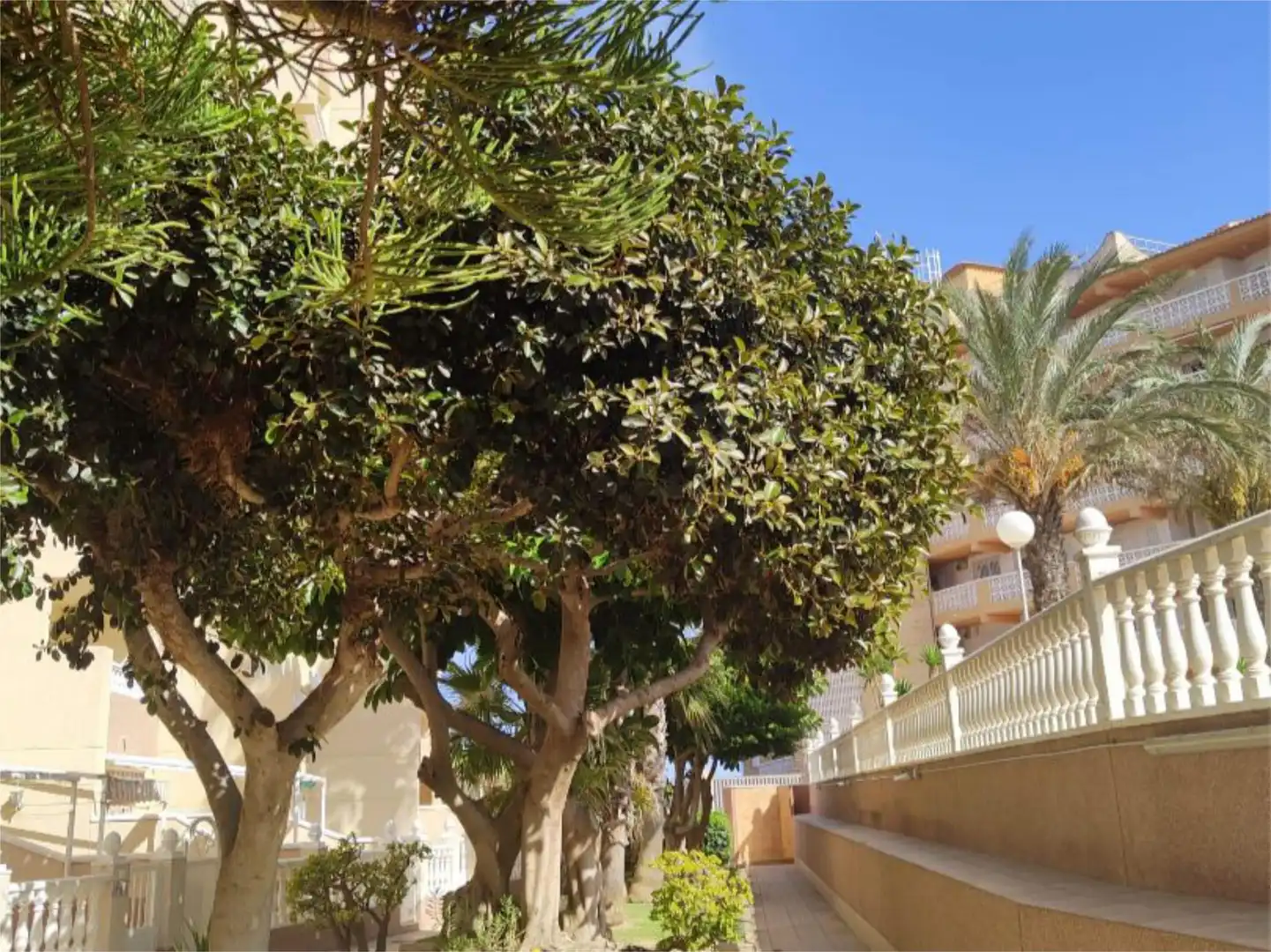 Wohnung zur Miete in Calle las Mimosas, 19, El Moncayo - El Pòrtic