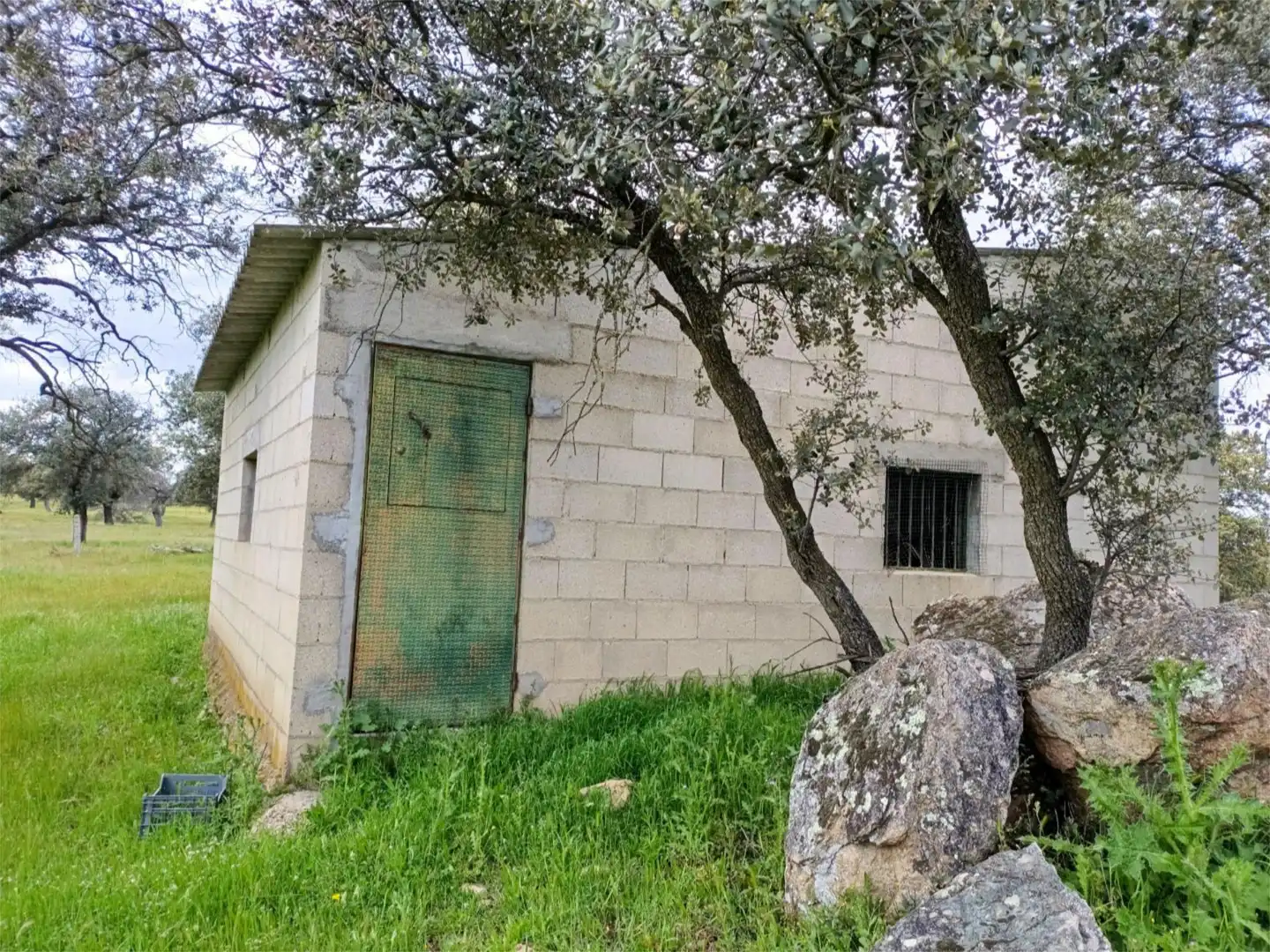 Exterior view of Country homes for sale in Torrecampo