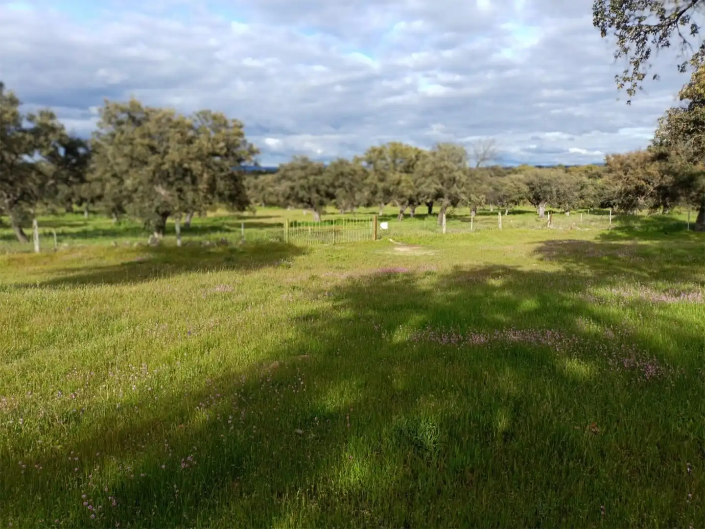 Country homes for sale in Torrecampo