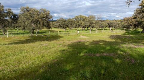 Country house for sale in Calle del Calvario, 17, Torrecampo, Córdoba - image 4 Photo 4 of Country house for sale in Calle del Calvario, 17, Torrecampo, Córdoba