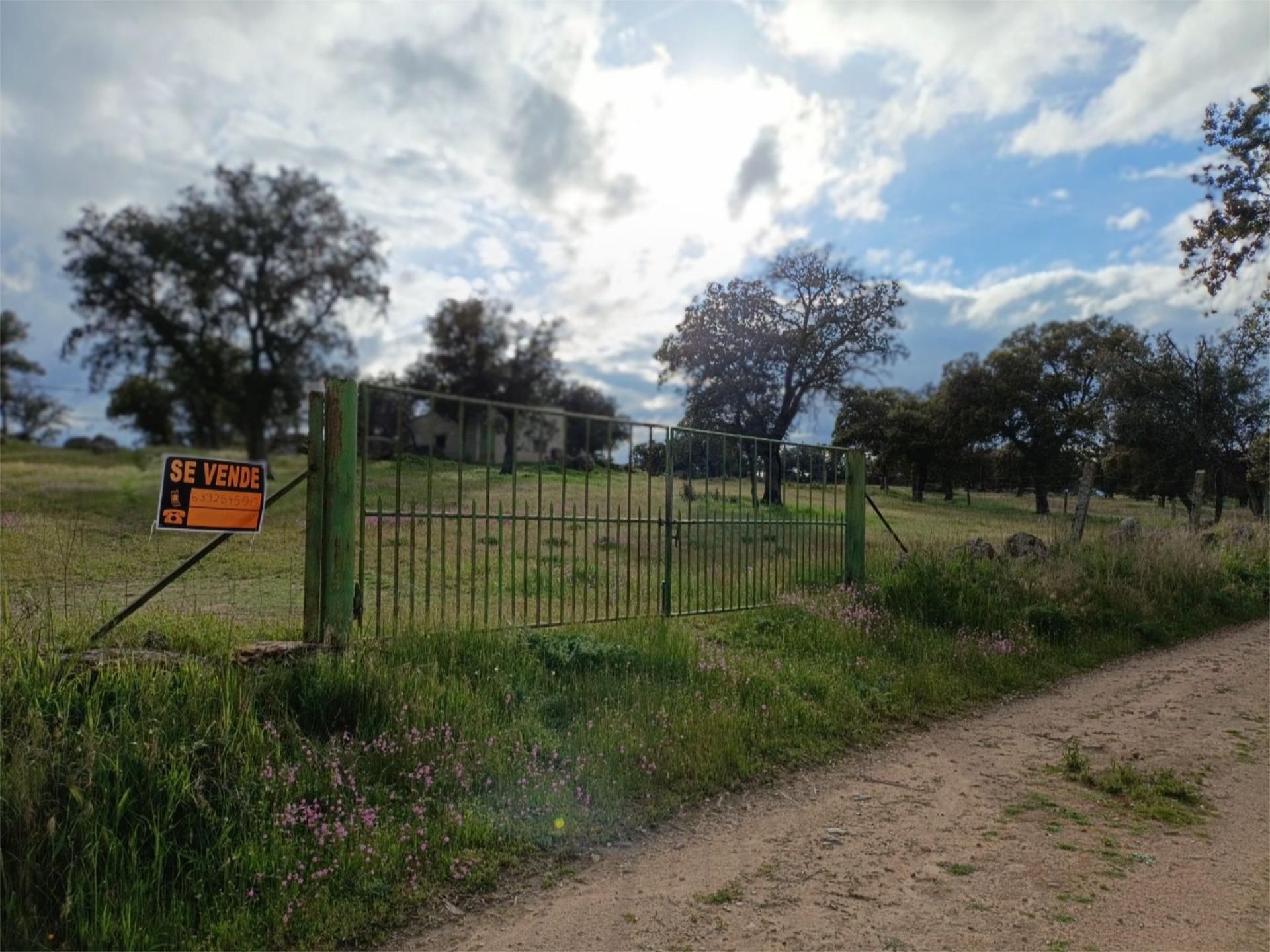 Finca rústica en venda en Torrecampo