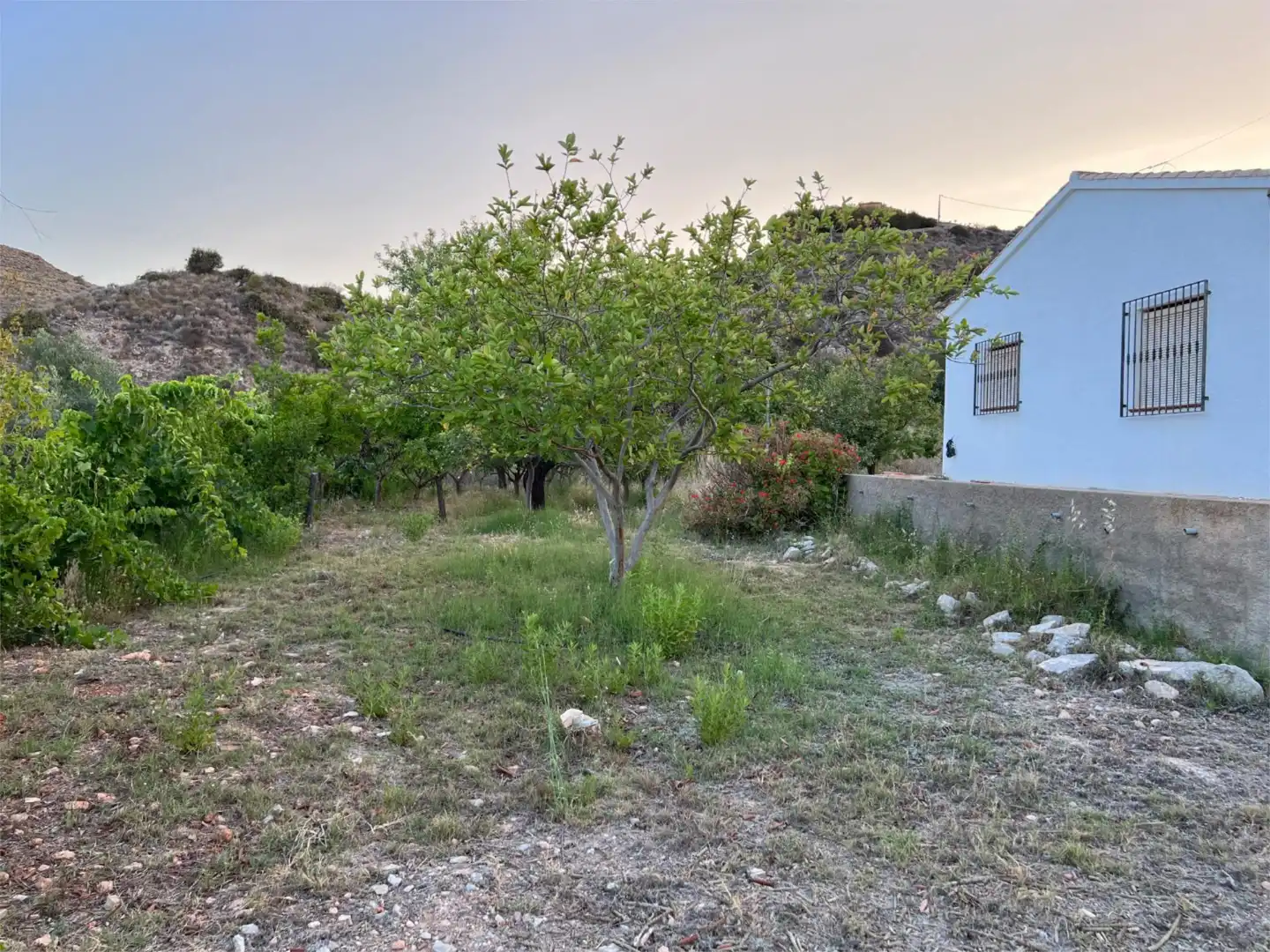 Finca rústica en venda a Barriada el Pinar, 5, Bédar Finca rústica en venda en Bédar amb Calefacció, Jardí privat i Terrassa