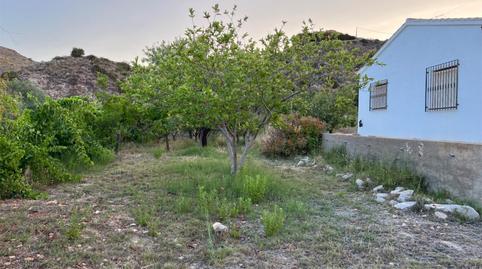 Planta baja en venta en Barriada el Pinar, 5, Bédar, Almería - imagen 2 Foto 2 de Planta baja en venta en Barriada el Pinar, 5, Bédar, Almería