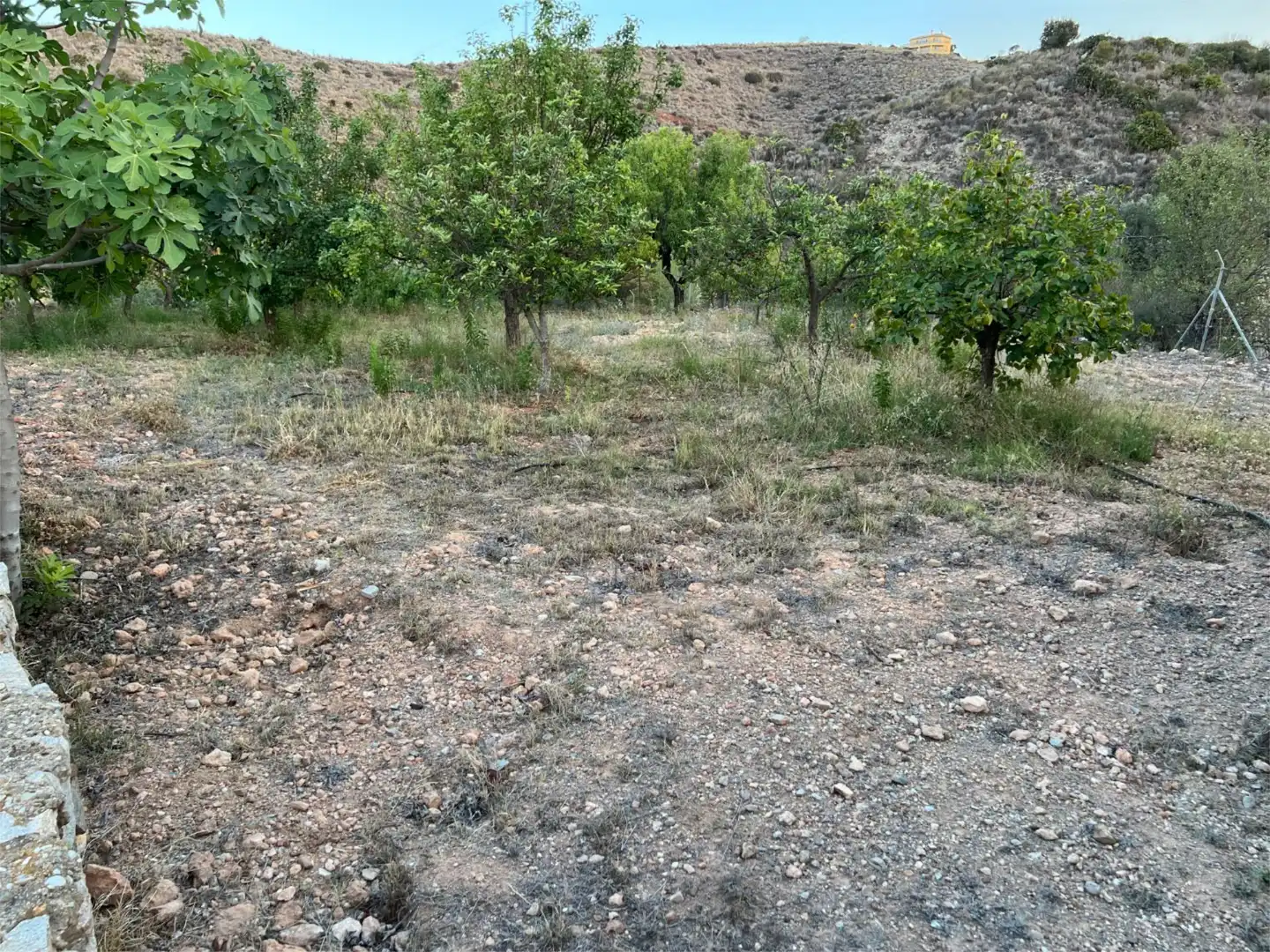 Finca rústica en venda a Barriada el Pinar, 5, Bédar Finca rústica en venda en Bédar amb Calefacció, Jardí privat i Terrassa