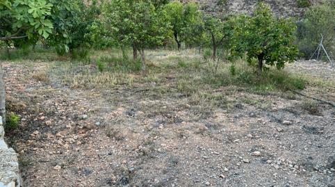 Planta baja en venta en Barriada el Pinar, 5, Bédar, Almería - imagen 5 Foto 5 de Planta baja en venta en Barriada el Pinar, 5, Bédar, Almería