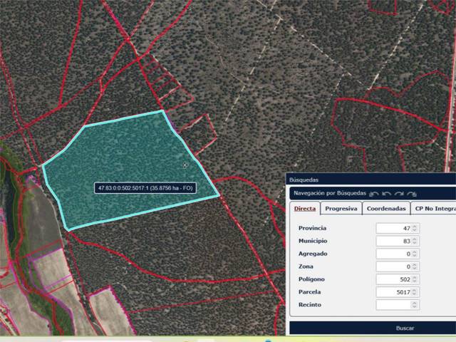 Terreno en Venta en Calle Pasión, 4 en Centro