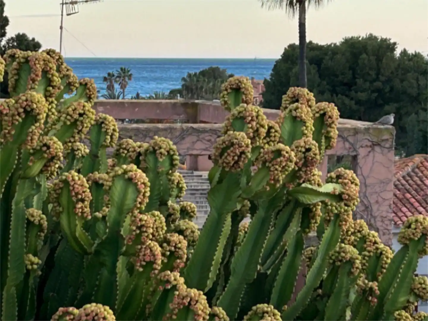 Garten von Wohnung zur Miete in El Campello mit Klimaanlage, Heizung und Privatgarten