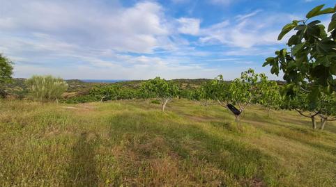 Terreny en venda a Travesía de la Carretera de Escalona, 1, Cenicientos, Madrid - imatge 2 Foto 2 de Terreny en venda a Travesía de la Carretera de Escalona, 1, Cenicientos, Madrid