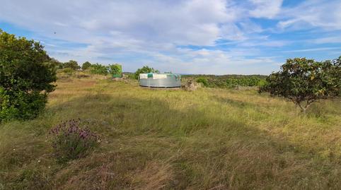 Terreny en venda a Travesía de la Carretera de Escalona, 1, Cenicientos, Madrid - imatge 3 Foto 3 de Terreny en venda a Travesía de la Carretera de Escalona, 1, Cenicientos, Madrid