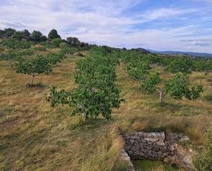 Land for sale in Cenicientos