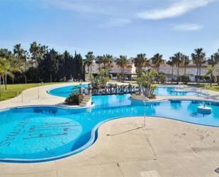 Piscina de Pis de lloguer en El Ejido amb Aire condicionat, Terrassa i Piscina