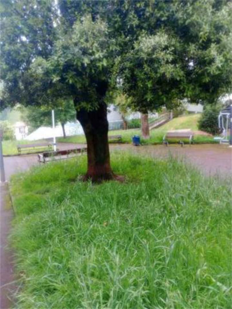 Casa o xalet en venda en Deba amb Jardí privat