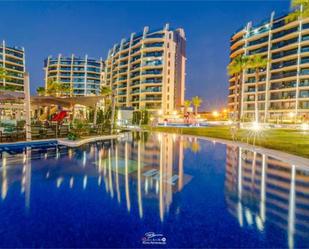Piscina de Apartament de lloguer en Torrevieja amb Jardí privat, Terrassa i Piscina