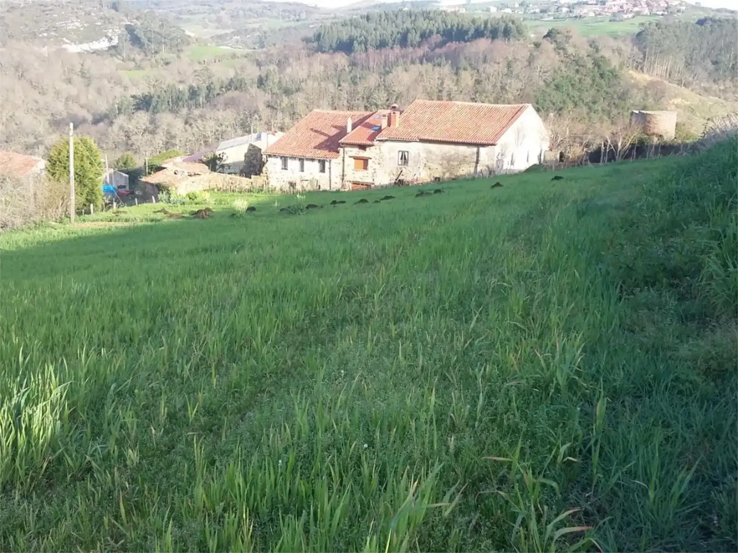 Residencial en venda a Barrio la Molina, 24, Comillas (Cantabria) Residencial en venda en Comillas (Cantabria)