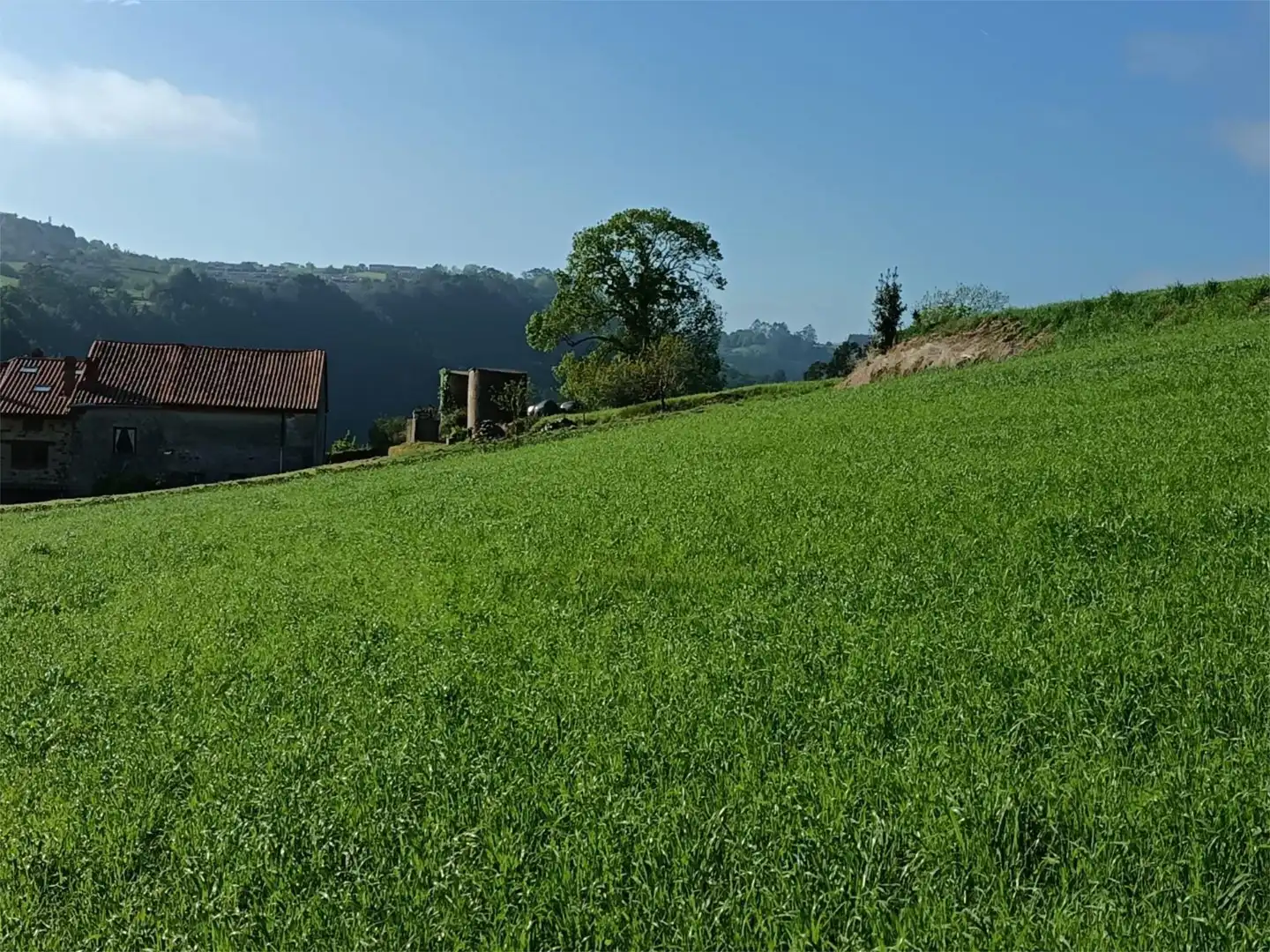 Residencial en venda a Barrio la Molina, 24, Comillas (Cantabria) Residencial en venda en Comillas (Cantabria)