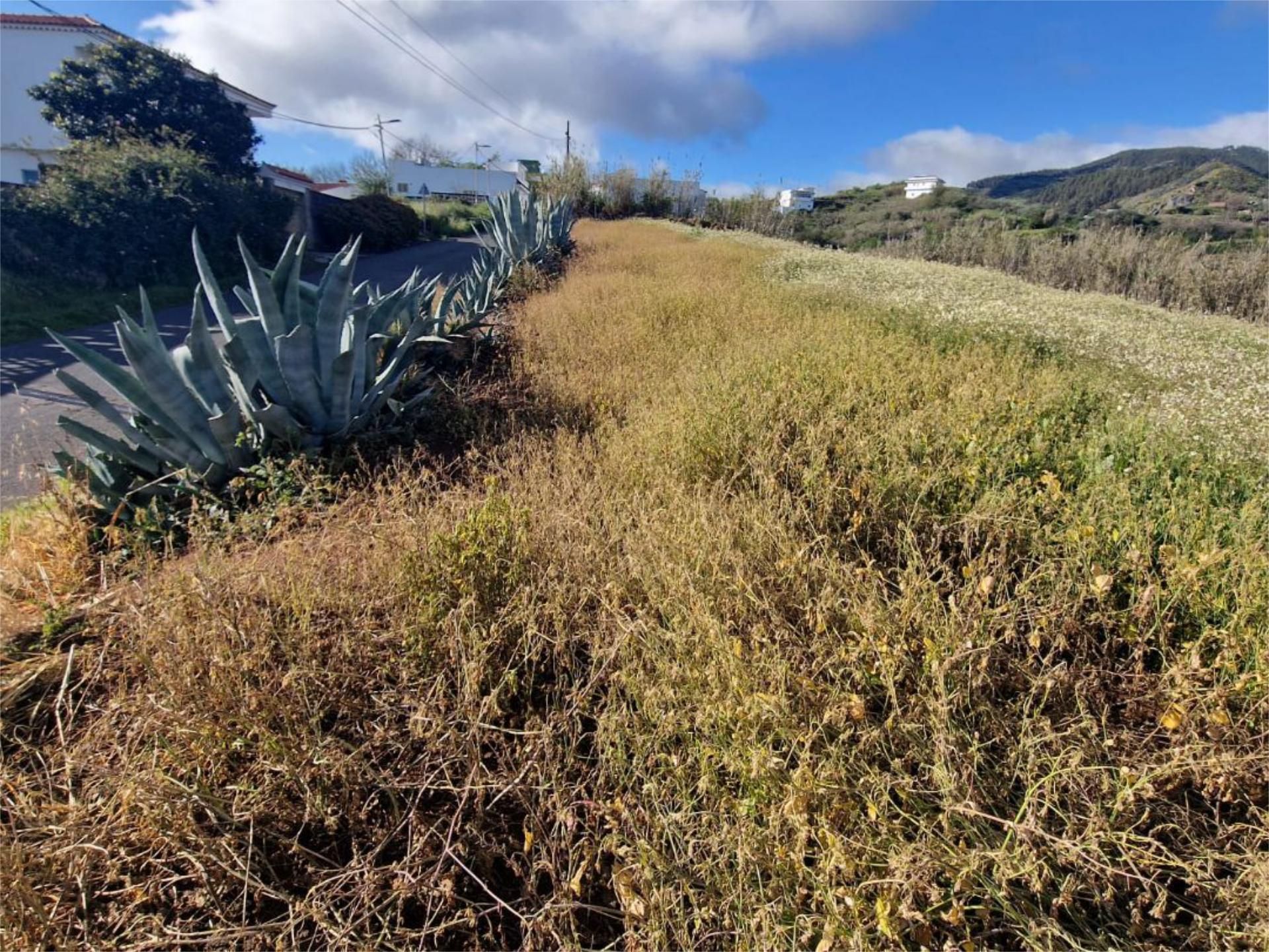 Constructible Land for sale in Valleseco