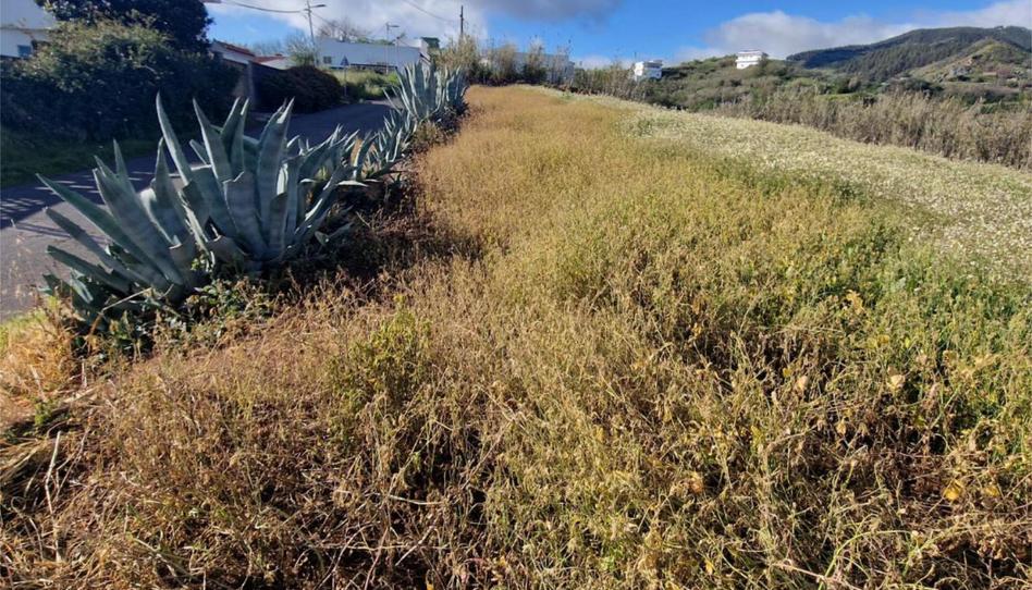 Urbanizable en venta en Calle el Lomo, 59, Valleseco, Las Palmas - imagen 1 Foto 1 de Urbanizable en venta en Calle el Lomo, 59, Valleseco, Las Palmas