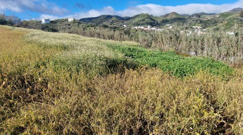 Urbanizable en venta en Calle el Lomo, 59, Valleseco, Las Palmas - imagen 2 Foto 2 de Urbanizable en venta en Calle el Lomo, 59, Valleseco, Las Palmas