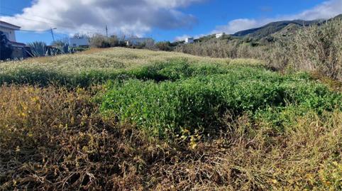 Urbanizable en venta en Calle el Lomo, 59, Valleseco, Las Palmas - imagen 3 Foto 3 de Urbanizable en venta en Calle el Lomo, 59, Valleseco, Las Palmas