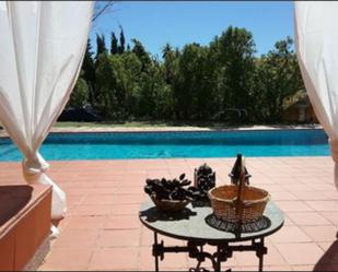 Jardí de Casa o xalet en venda en La Bisbal del Penedès amb Aire condicionat, Terrassa i Piscina