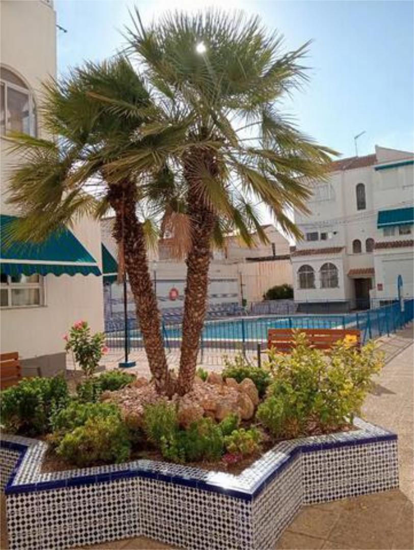 Piscina de Apartament de lloguer en Torrevieja amb Terrassa, Traster i Piscina