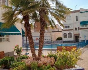 Piscina de Apartament de lloguer en Torrevieja amb Terrassa, Traster i Piscina