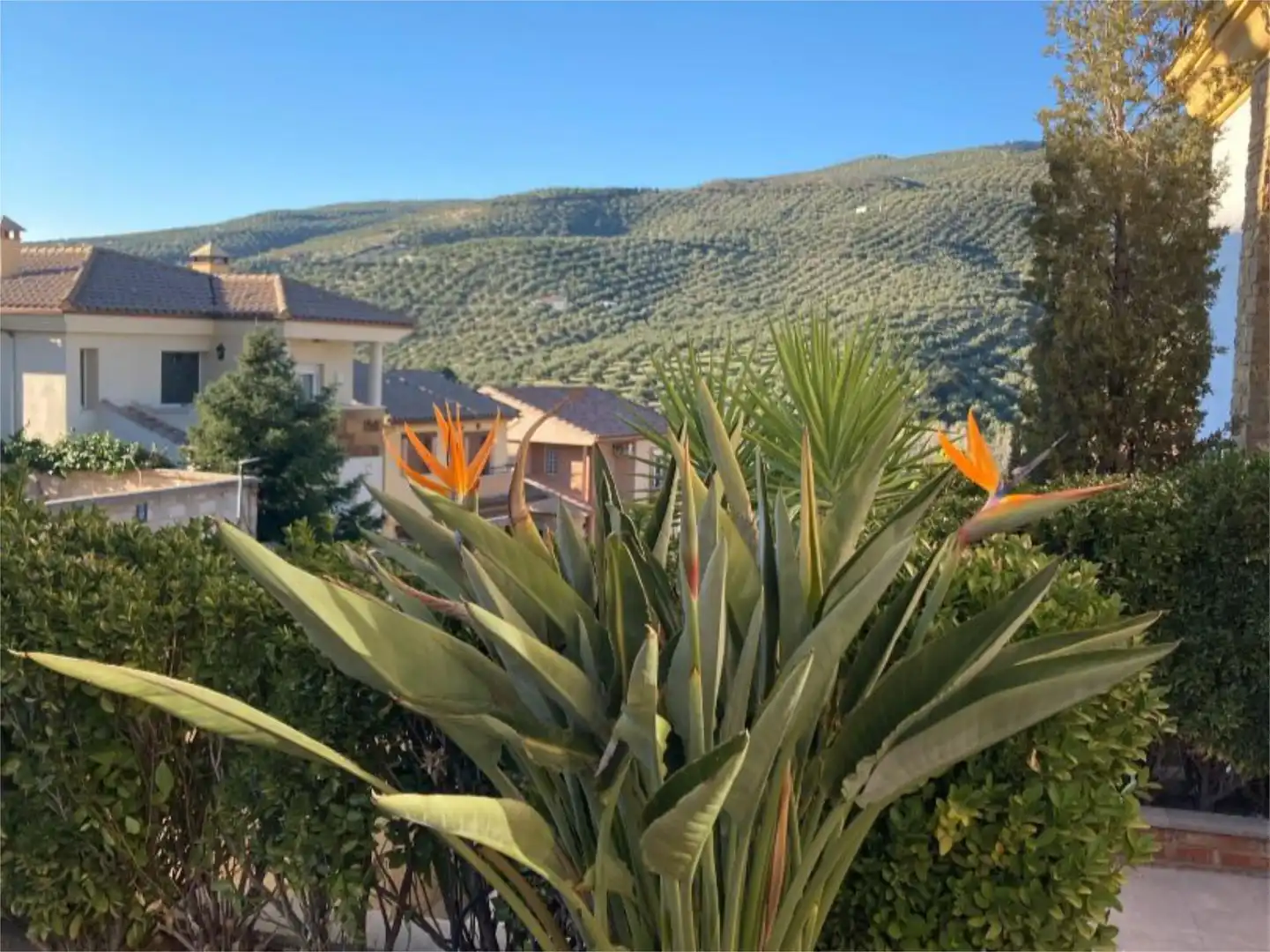 Flat for sale in Calle Reina Sofia, 11, Los Villares Exterior view of Flat for sale in Los Villares with Air Conditioner, Heating and Private garden